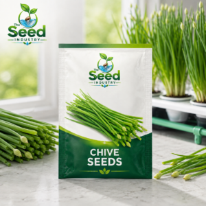 Chive Seeds