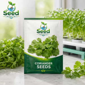 Coriander Seeds
